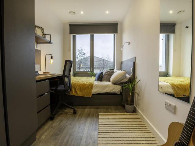 1 bedroom private halls to rent