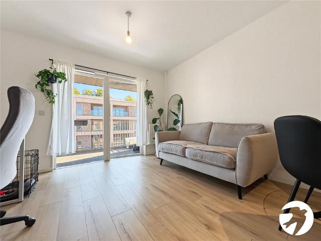 1 bedroom property to rent
