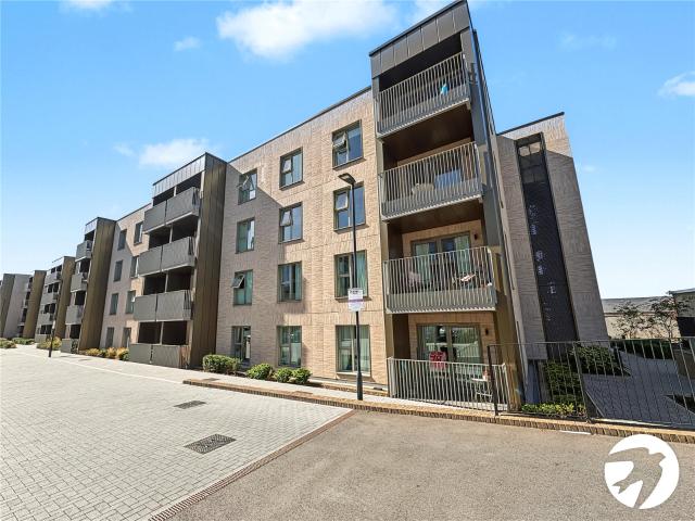 1 bedroom property to rent