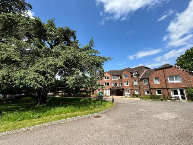 1 bedroom property to rent