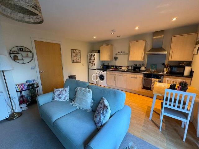 1 bedroom property to rent