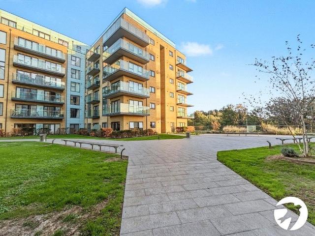 1 bedroom property to rent