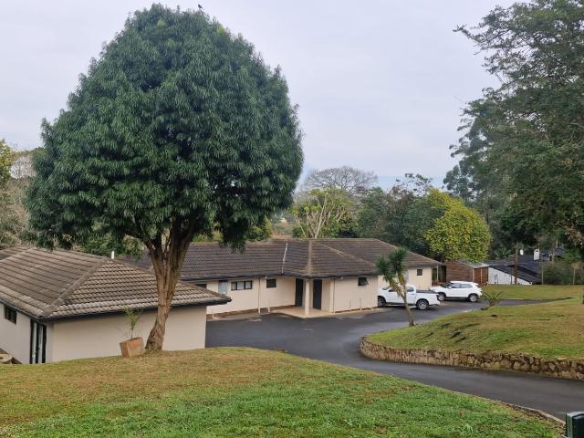 1 Bedroom Room Rented in Belvedere
