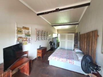 Bendor Park, Polokwane Local Municipality, Capricorn District Municipality, Limpopo