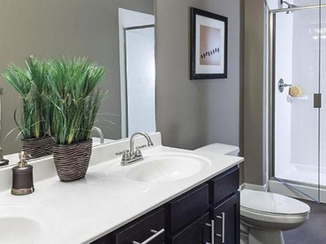 1 bedroom, Raleigh NC 27615 105666116
