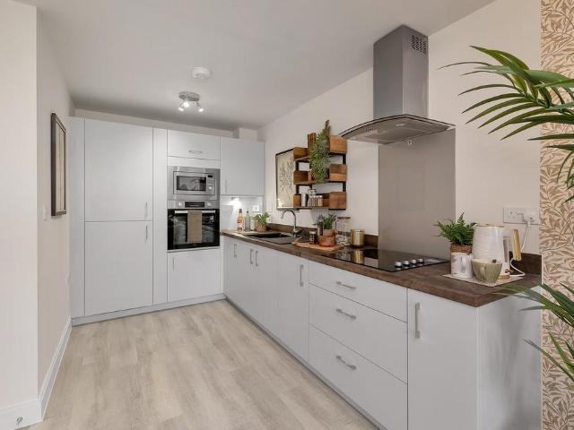 1 bedroom retirement property to rent