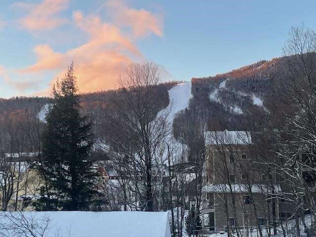 1 bedroom, Warren VT 05674 105293643