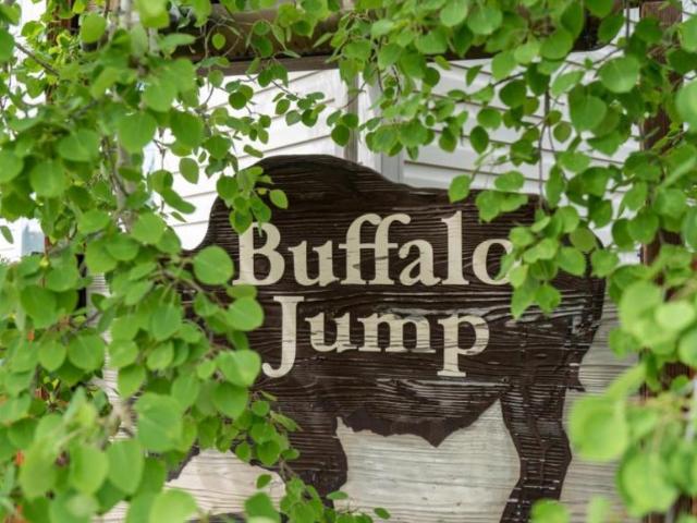 1 bedroom, West Yellowstone MT 59758 LS103517368