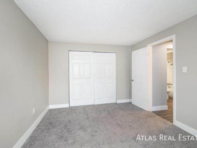 1 bedroom, Westminster CO 80030 105839746
