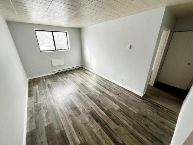 1 bedroom, Windsor ON N9A 5J3 105264934