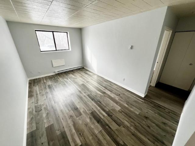 1 bedroom, Windsor ON N9A 5J3 105218419