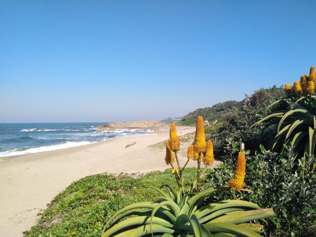 1 Bedroom Townhouse For Sale in Marina Beach