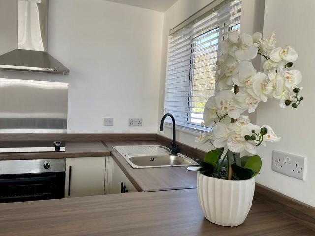 1 bedroom townhouse to rent