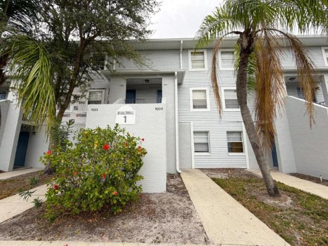 1 bedroom, Tampa FL 33617 LS105777760