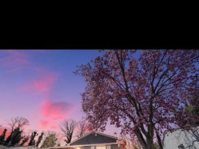 1 bedroom, Temple Hills MD 20748 106114103
