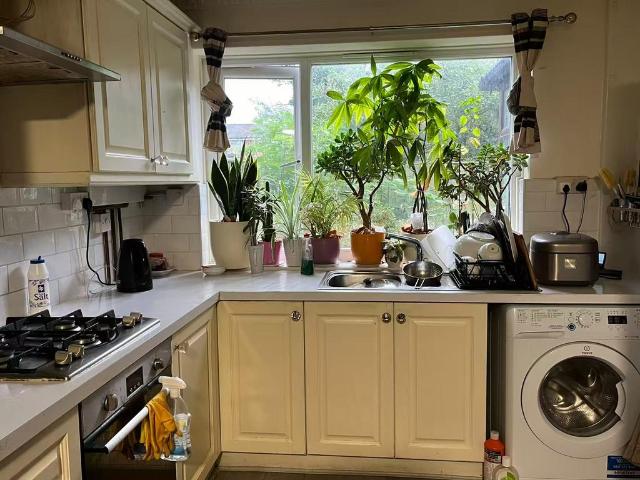 1 bedroom terraced house to rent