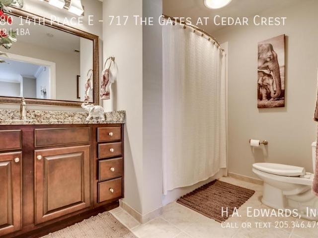 1 bedroom, Tuscaloosa AL 35401 105835349