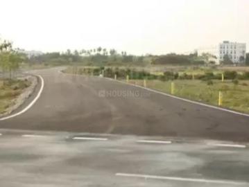 AV Serene Street - Garden