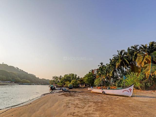 1 BHK Apartment in Candolim for rent Goa. The reference number is 11805295