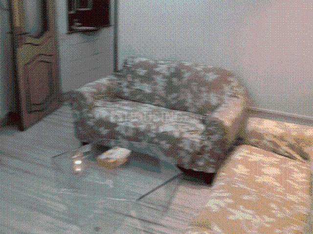 1 BHK Apartment in Cumballa Hill for rent Mumbai. The reference number is 19064426