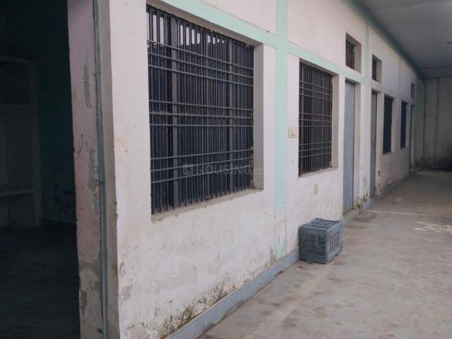 1 BHK Apartment in Amrai Gaon for rent Lucknow. The reference number is 21123109