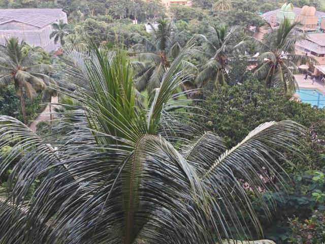 1 BHK Apartment in Andheri West for rent Mumbai. The reference number is 21149443
