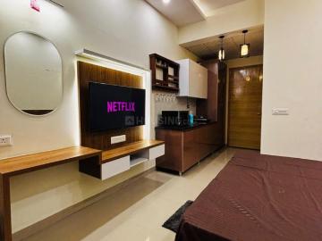 1 BHK Apartment in Bamheta Village for rent Ghaziabad. The reference number is 20494923