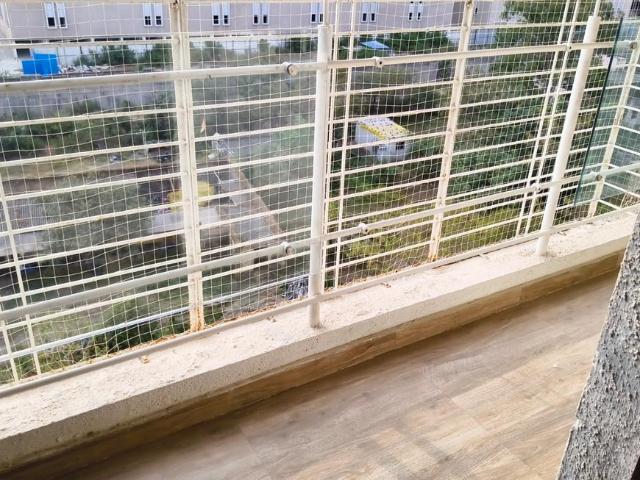 1 BHK Apartment in Bhugaon for rent Pune. The reference number is 21310644