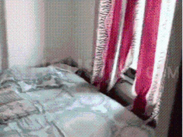 1 BHK Apartment in Bhiwandi for rent Thane. The reference number is 14076836