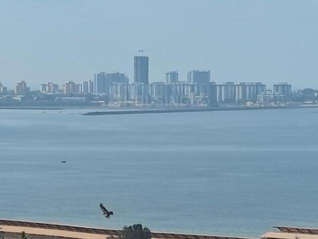 1 BHK Apartment in Girgaon for resale Mumbai. The reference number is 20702314