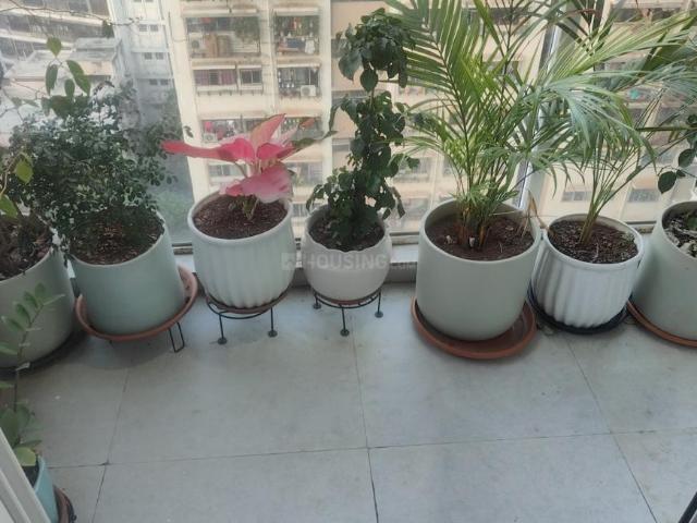 1 BHK Apartment in Dadar West for rent Mumbai. The reference number is 19620649