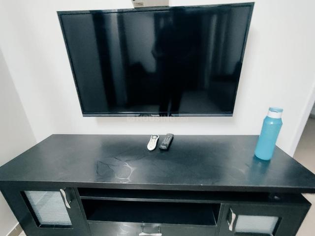 1 BHK Apartment in Dhanori for rent Pune. The reference number is 20234057