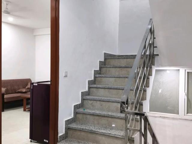 1 BHK Apartment in DLF Phase 5 for rent Gurgaon. The reference number is 21358667