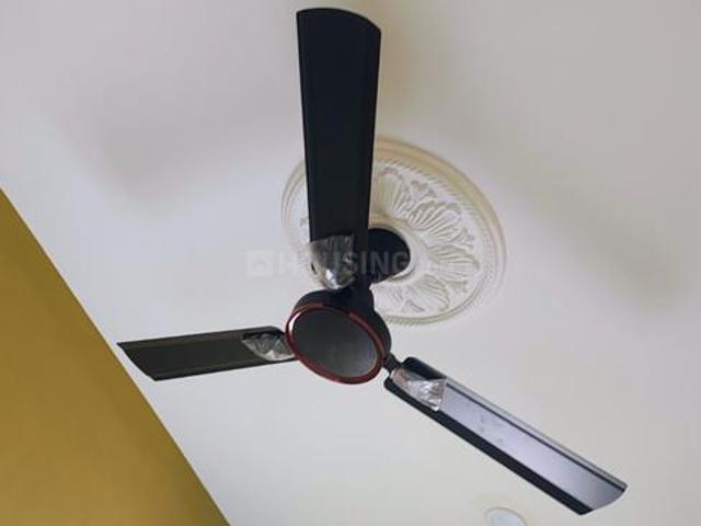 1 BHK Apartment in Electronic City for rent Bengaluru. The reference number is 20357164