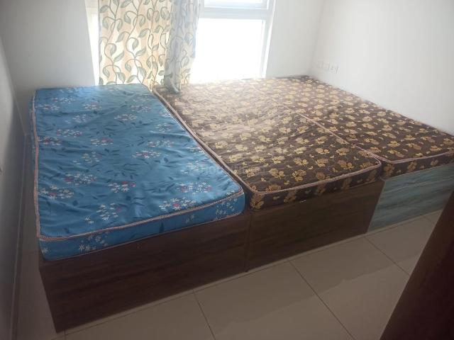 1 BHK Apartment in Electronic City for rent Bengaluru. The reference number is 20726655
