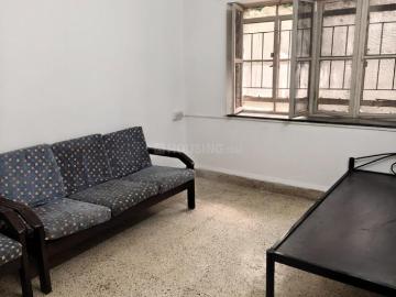 1 BHK Apartment in Kothrud for rent Pune. The reference number is 19883515