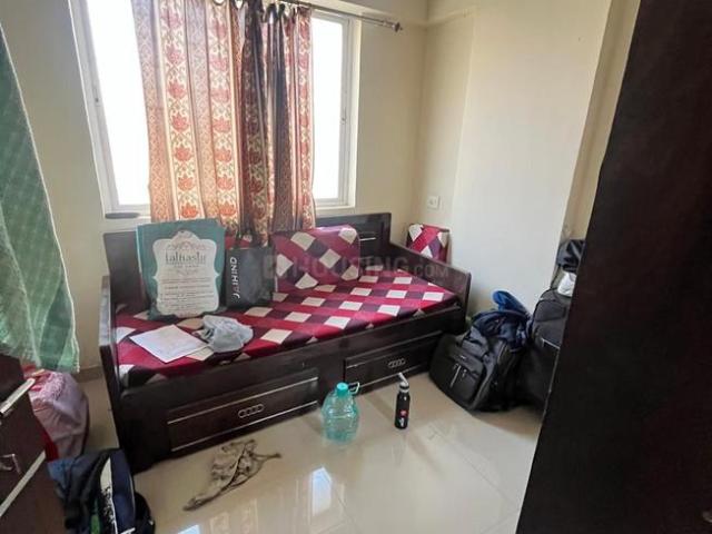 1 BHK Apartment in Kothrud for rent Pune. The reference number is 20319514