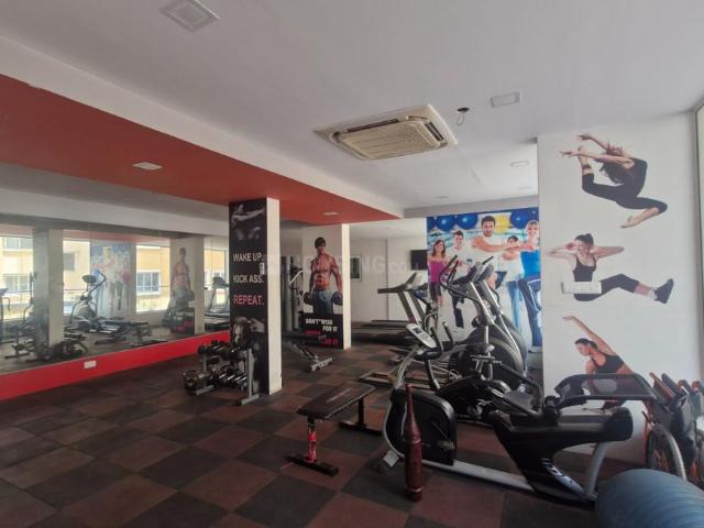 1 BHK Apartment in Koramangala for rent Bengaluru. The reference number is 20565748