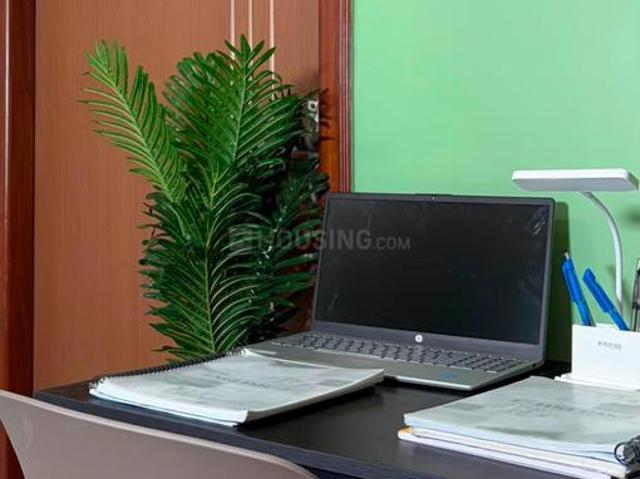 1 BHK Apartment in Koramangala for rent Bengaluru. The reference number is 20959287