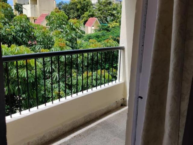 1 BHK Apartment in Koregaon Park for rent Pune. The reference number is 20449051