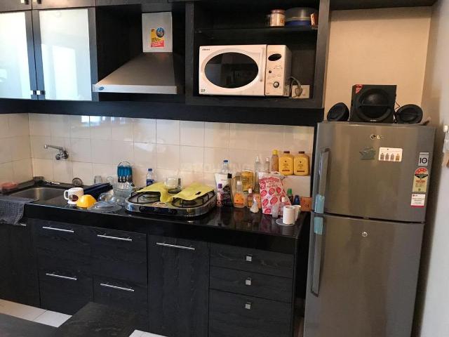 1 BHK Apartment in Koregaon Park for rent Pune. The reference number is 20648246