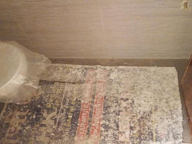 1 BHK Apartment in Kamothe for rent Navi Mumbai. The reference number is 18984368