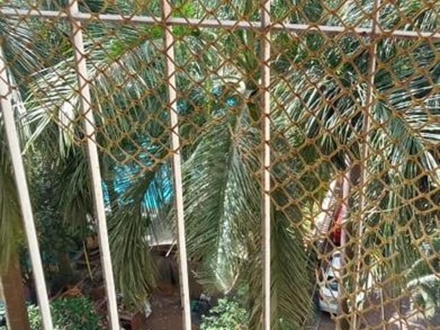1 BHK Apartment in Kandivali East for rent Mumbai. The reference number is 20358738