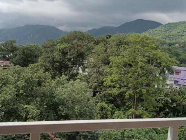 1 BHK Apartment in Kulhan for rent Dehradun. The reference number is 20915934