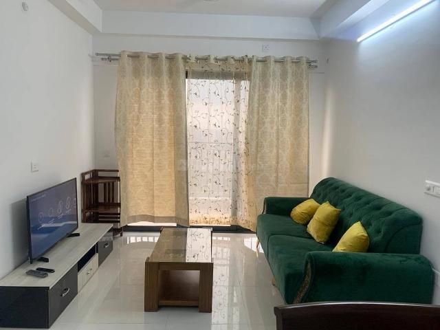 1 BHK Apartment in Hadapsar for rent Pune. The reference number is 20845568