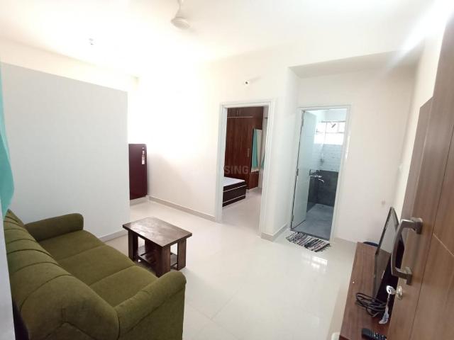 1 BHK Apartment in HSR Layout for rent Bengaluru. The reference number is 20793587