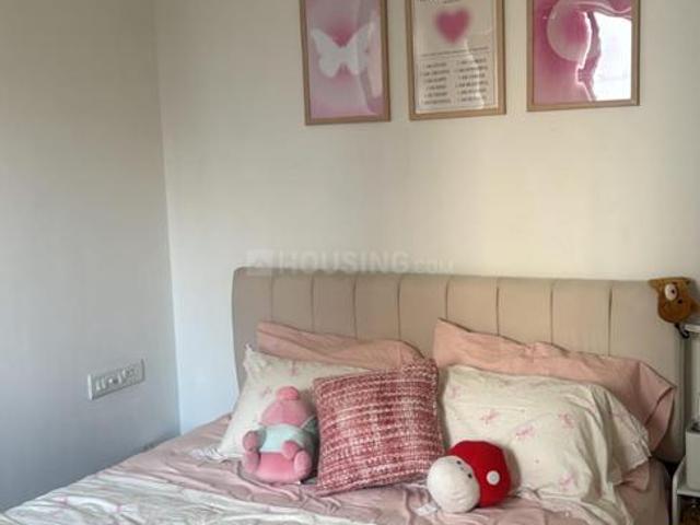 1 BHK Apartment in Jagatpur for rent Ahmedabad. The reference number is 21206152