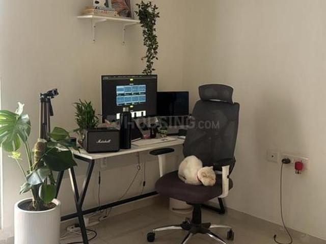 1 BHK Apartment in Jagatpur for rent Ahmedabad. The reference number is 21243703