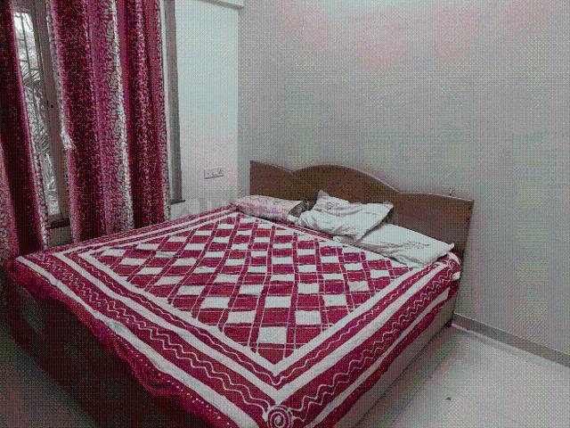 1 BHK Apartment in Moshi for rent Pune. The reference number is 20747934