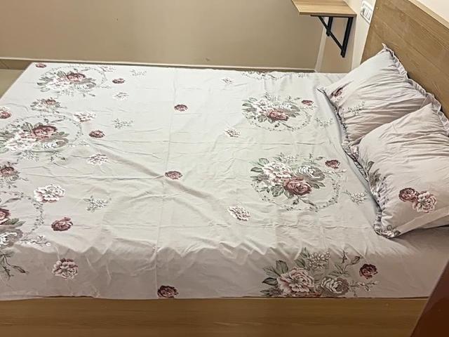 1 BHK Apartment in Mahadevapura for rent Bengaluru. The reference number is 19609294